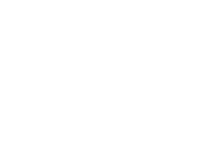 Wbiz logo