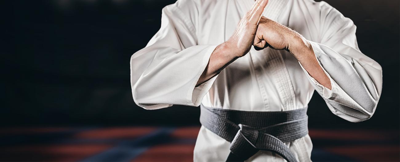 Martial Arts banner
